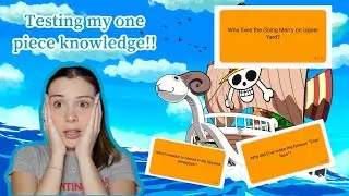 LETS TEST MY ONE PIECE KNOWLEDGE!!! (I think I might need a rewatch)!!