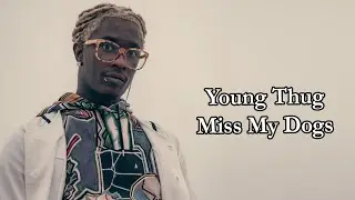 Young Thug - Miss My Dogs Lyrics