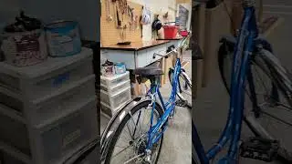 1982 Schwinn Cruiser