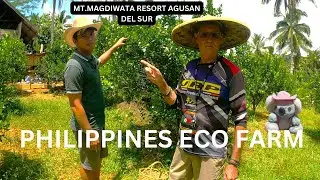 philippines adventure Mindanao scooter exploring