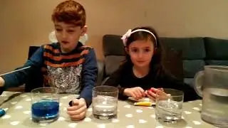 Experiment
