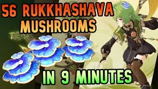 56 RUKKHASHAVA MUSHROOMS in 9 Minutes - Genshin Locations & Farming Routes