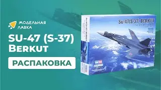 Сборная модель самолет SU-47 (S-37) Berkut. Распаковка