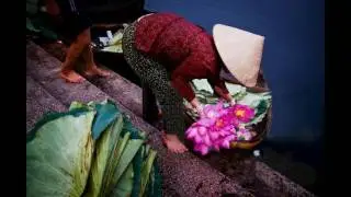 VIETNAM:  moments in time no. 16 -  LOTUS