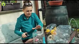 Prírodná jedlá záhrada - marec