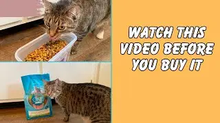 Most Honest Review:  Purina ONE Sensitive Stomach, Sensitive Skin, Natural Dry Cat Food