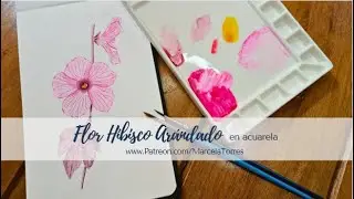 Flor Hibisco Arándano - Detrás de cámara