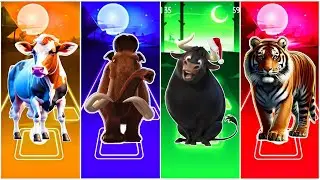 Funny COW🆚 Funny MAMMONT🆚 Funny FERDINANT🆚 Funny TIGER EDM