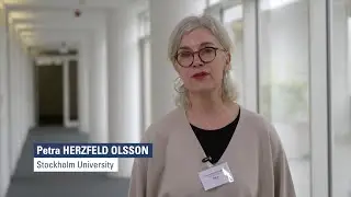 The impact of the EU Directive on Adequate Minimum Wages in Sweden