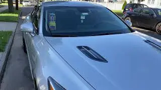 Silver Stinger