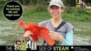 Wild Side of STEAM: Avian Ecologist