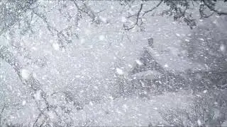 Fierce Howling Wind Sounds for Concentration & Study | Winter Blizzard Relaxation