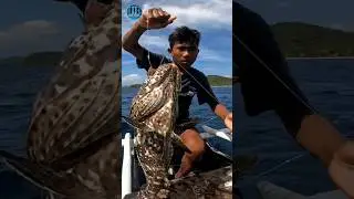 Black Grouper Handline fishing #fishingtechniques #fishingvideo #amazingsea #shortsvideo #short