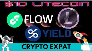 YIELD APP 4X Pre- Launch, FLOW Dapper Labs Rewards Available now, $10 LITECOIN Giveaway !!