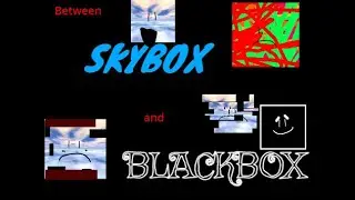 Between Skybox and Blackbox