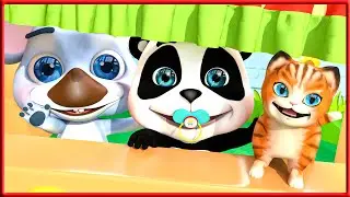 Aventuras del Gatito - Canciones infantiles | Little Panda Doctor Espa&ntilde;ola #bebetiburon