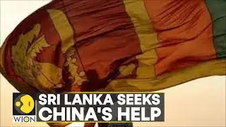 Sri Lanka seeks China's help to revive trade, investment and tourism | Latest World News | WION