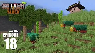 The Wall | 18 | Rotten Block Season 1