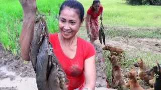 Survival skills: Meet a hemeless dog family, Catch and Cook fish Eating delicious with Dog family