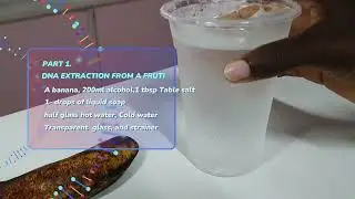 Extracting DNA from Banana & Human Cheek Cells &ndash; Simple Science at Home!
