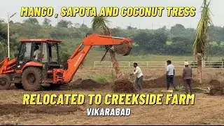 #treeplantation #treeremoval #ananthagirihills #farmresort #vikarabad #creekside #farmlife 