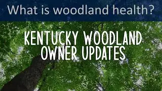 Kentucky Woodland Owner Updates - May 2021