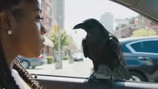 Raven Challenges a Litterbug