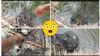 طريقه صيد السمك بل كركور 🐟🐟🇮🇶👍