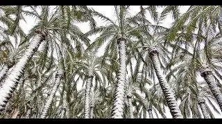 Southern Hemisphere Cooling the Trend is Now Apparent | Mini Ice Age 2015-2035 (390)