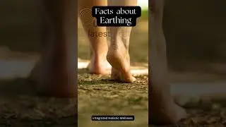 Timeless Wellness #EarthingGenerations #HealthPractice