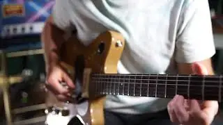 Dan Phelps - Guitars and Synths - 