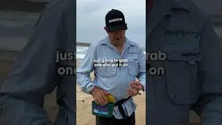 This will help you catch BREAM & WHITING #beachfishing #fishingguide #bream