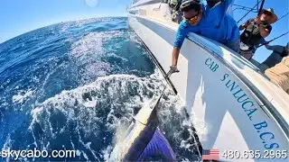 Cabo Fishing Charter Experience: Reel in Big Fish