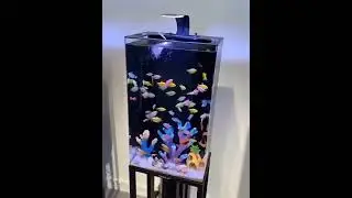 Hydroponic Garden Aquaponic Fish Tank Plants Growing System Self-Cleaning Seed Sprouter Tray/alibaba