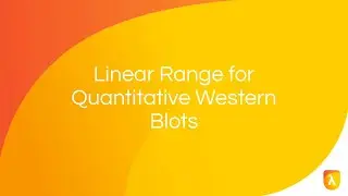 What Is Linear Range? | Linear Range for Quantitative Western Blots