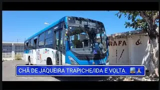 101 CHÃ DE JAQUEIRA/TRAPICHE, IDA E VOLTA. 
