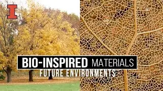 Future Environments: Bio-Inspired Materials