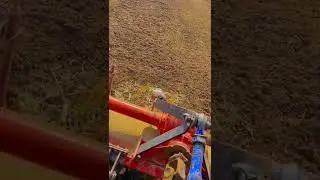 saving bird||farmers status||#shorts #viral #viralshorts #agriculture #farming #birds #short