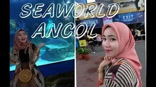 Mengenal kehidupan bawah laut|||Seaworld Ancol