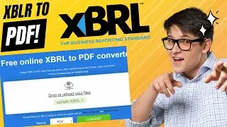Convert XBRL Balance Sheet to PDF 2025 📊 | Easy Step-by-Step Guide 🔍💼