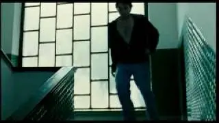 SHADOWS / Jungle Shadow -Senki