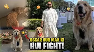 Oscar aur Max ki ladai ho gayi