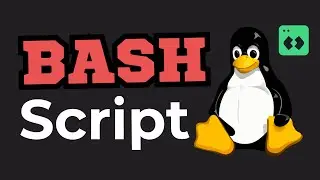 Bash Scripting for Beginners | Learn with 10 Practical Examples