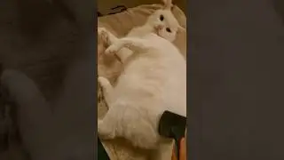 Turning and turning...