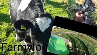 Farmvlog #21 Erntedank mit Lagerschaden