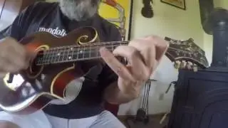 Fine Times at Our House 1928 Gibson H4 Mandola