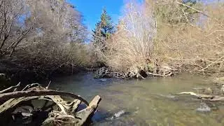 CREEK EXPLORATION 01/24/2026