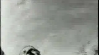 Gorky's Zygotic Mynci - 08. Iechyd Da