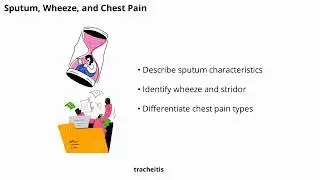 Cardiopulmonary Assessment | Respiratory & Cardiac Examination Explained for Physiotherapy