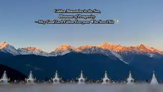 Golden Mountains in the Sun! Blossoms of Prosperity &mdash; May Good Luck Follow Everyone Who Sees This ✨